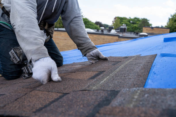 Best Roof Gutter Cleaning  in Flagtown, NJ